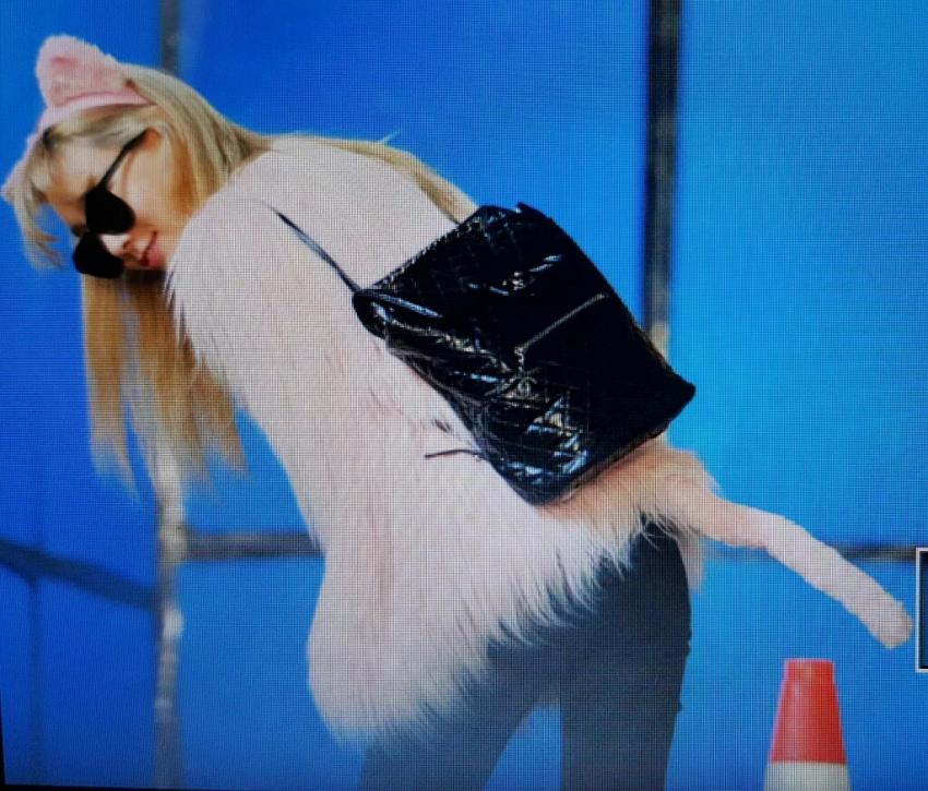 오늘 태연 출근길 (냥이코스프레) | 인스티즈