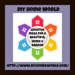 I am featured in Diy Home World