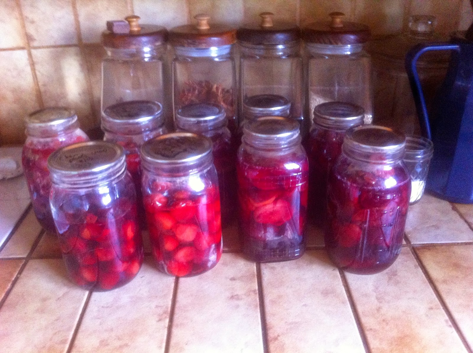 New To Farm Life Canning Log and Canning Jars