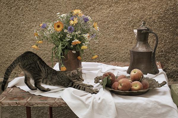 summer-composition-with-cat-floriana-barbu.jpg