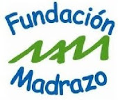 FUNDACIÓN PARA LA COOPERACIÓN INTERNACIONAL DR. MANUEL MADRAZO