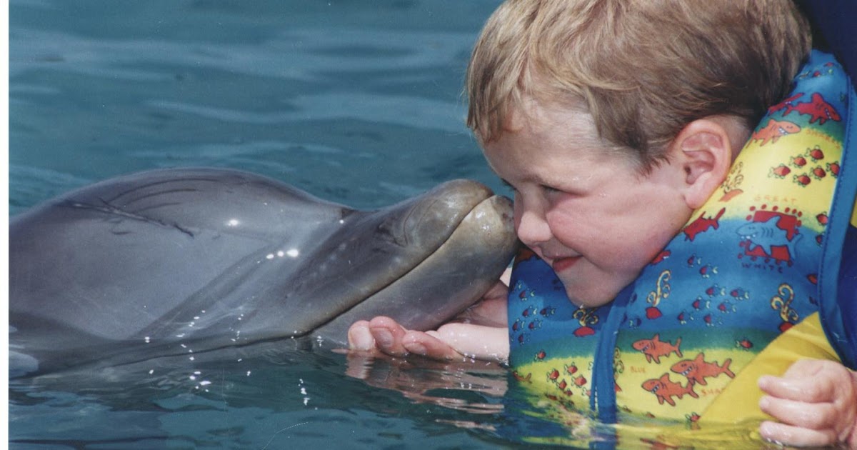 OC Mom Blog: Wordless Wednesday: A Dolphin Tale