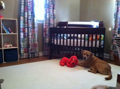 Dog in front of baby crib