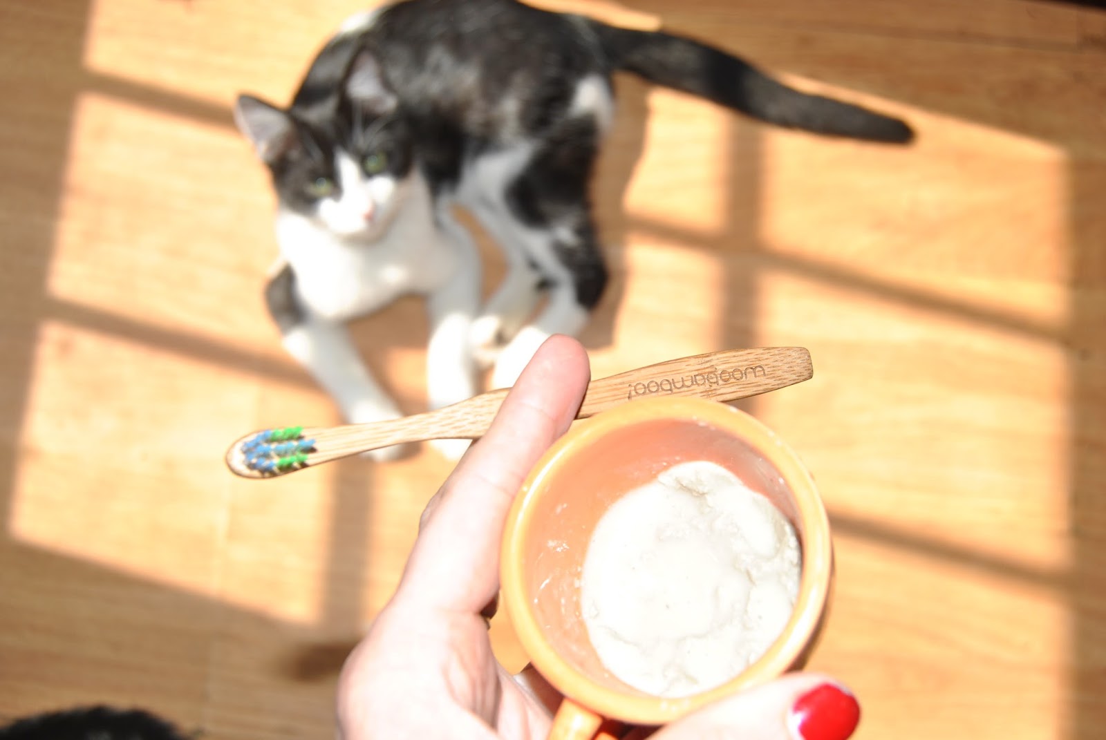 DIY Pet Toothpaste { Cat & Dog } woobamboo Wishing Penny