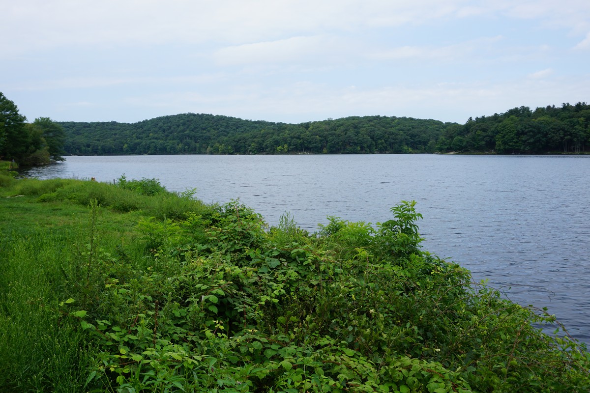 Harriman Hiker Harriman State Park and Beyond Buck Trail Conklin