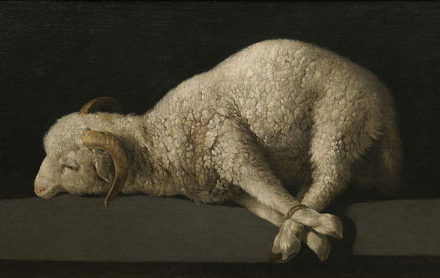 Agnus Dei - Francisco de Zurbarán