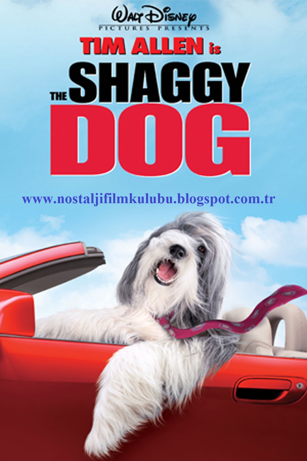 Filmler 1 Bak Şu Köpeğe The Shaggy Dog 2006 BRRip Türkçe Dublaj