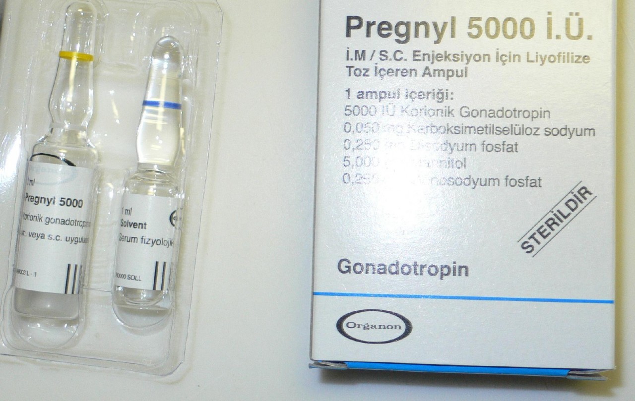 HCG (Pregnyl) Nedir ? Türkiyenin Tek Steroid Ansiklopedisi