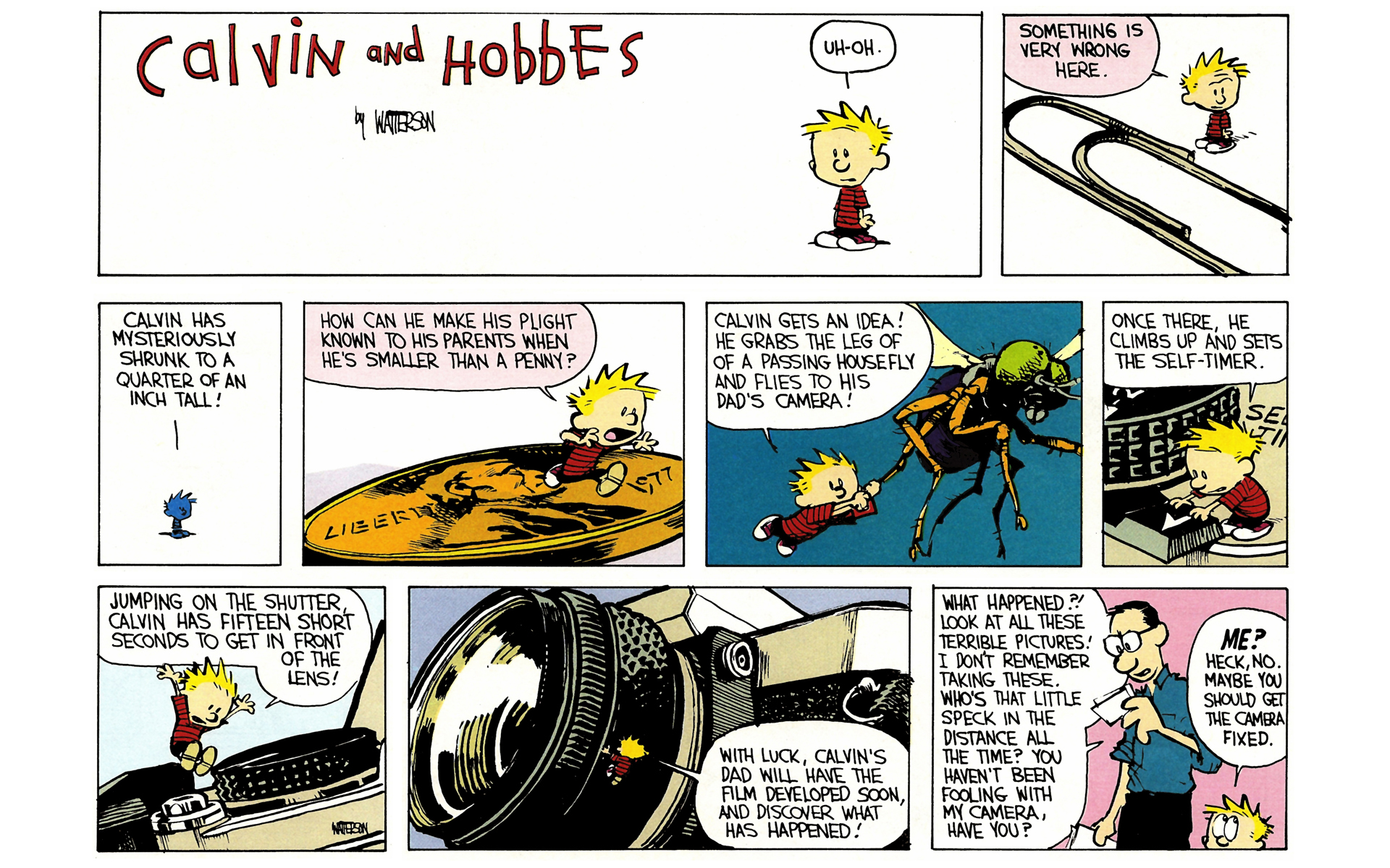 Read online Calvin and Hobbes comic -  Issue #4 - 134