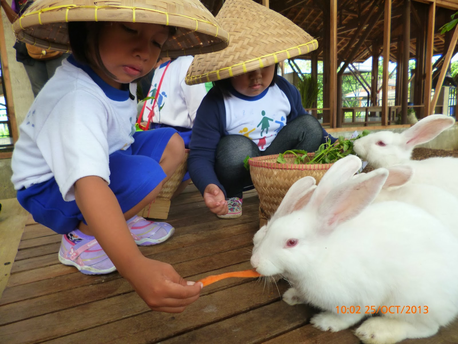 Saraswati Preschool Caring for Animals