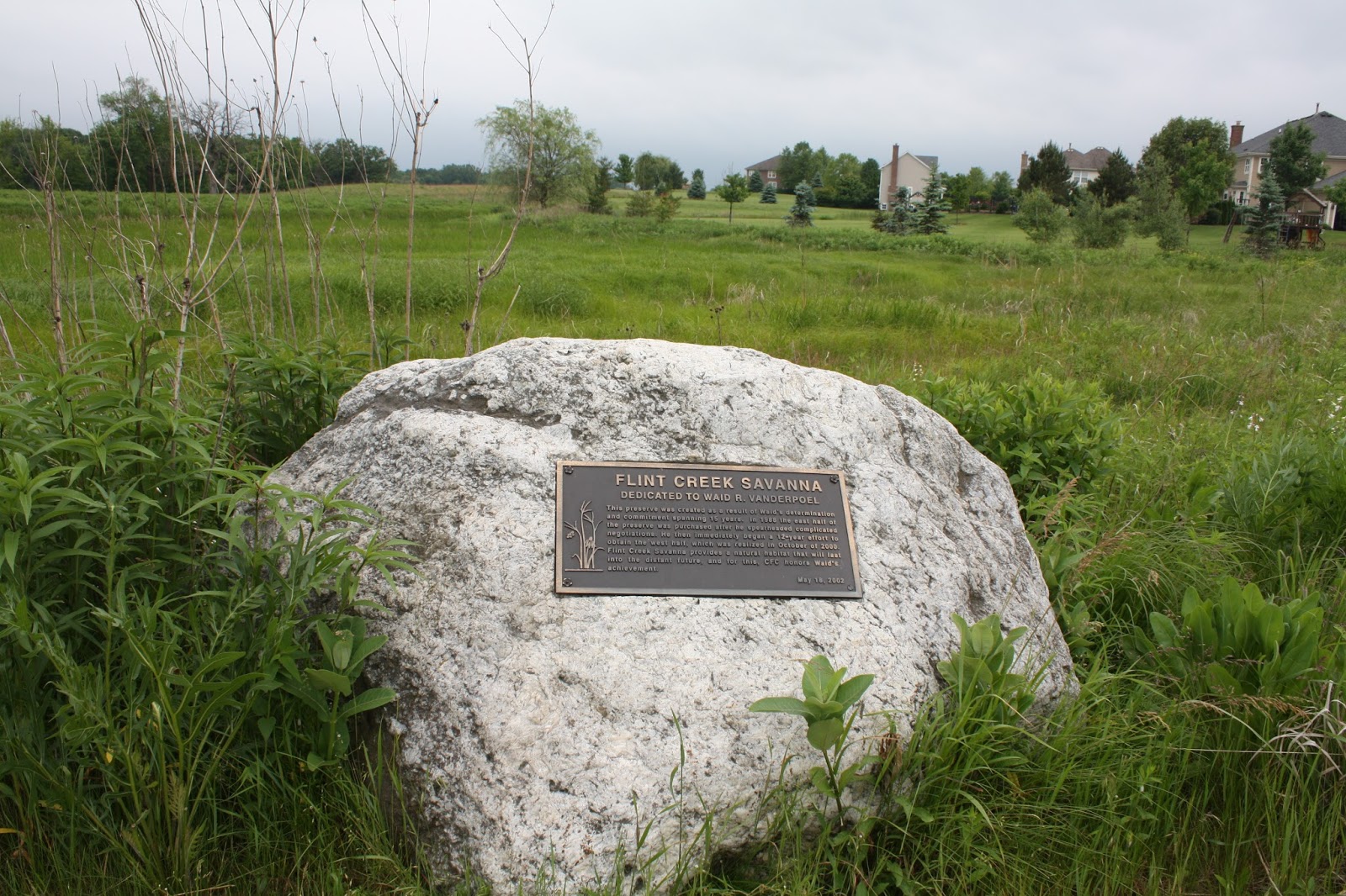 A Little Time and a Keyboard A Summer Walk at Flint Creek Savanna {Lake Barrington}