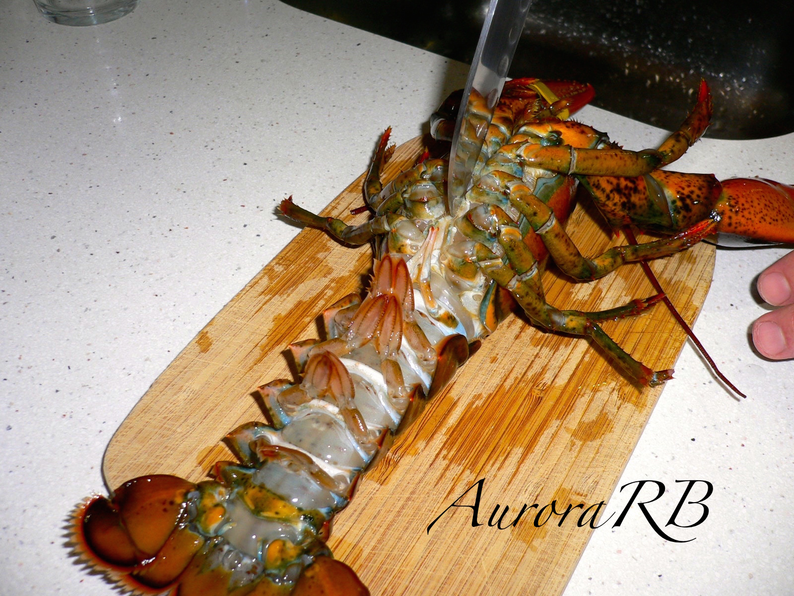 Bogavante y tripas