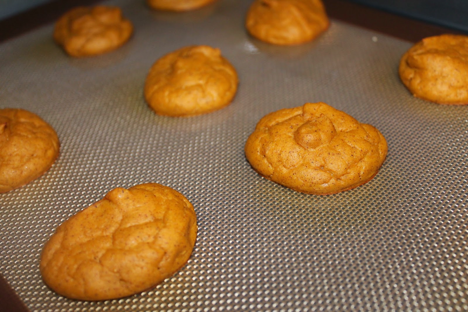 Not so ordiNANNY me! Butternut Squash Cookies