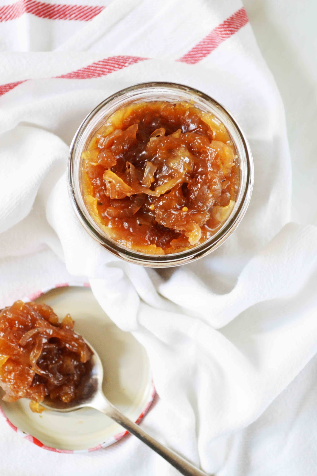 chutney de maçã e cebola // apple and onion chutney Andrajos