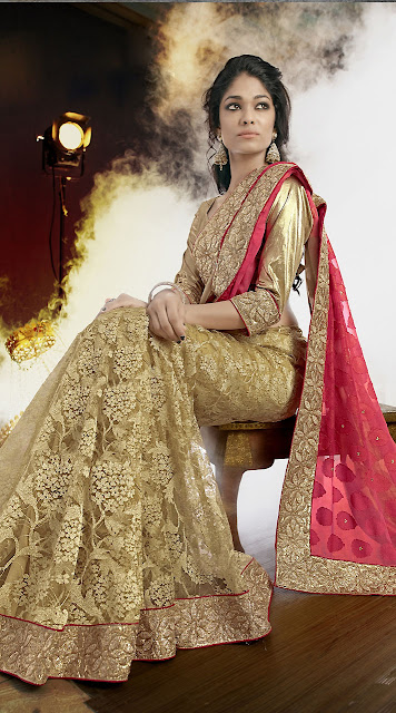 Latest Shimmer Sari design 2015