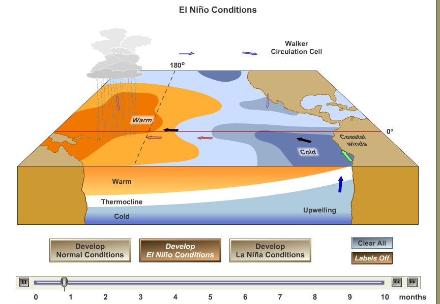 Aniamasi Proses Terjadinya El Nino Dan La Nina Geomedia Aniamasi Proses Terjadinya El Nino Dan La Nina Geomedia