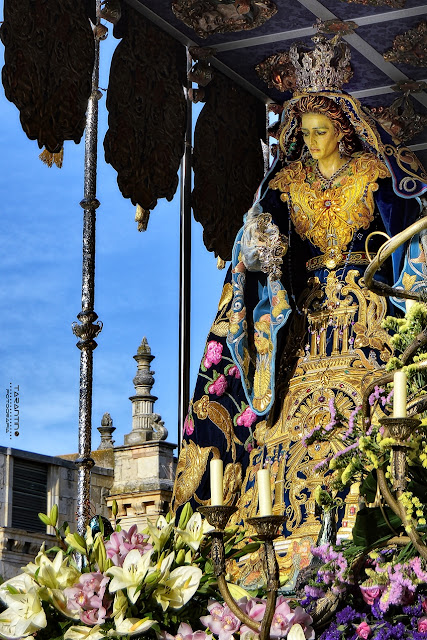 Virgen de los Reyes. Foto Danilo Tarantino. Virgen de los Reyes. Foto Danilo Tarantino.