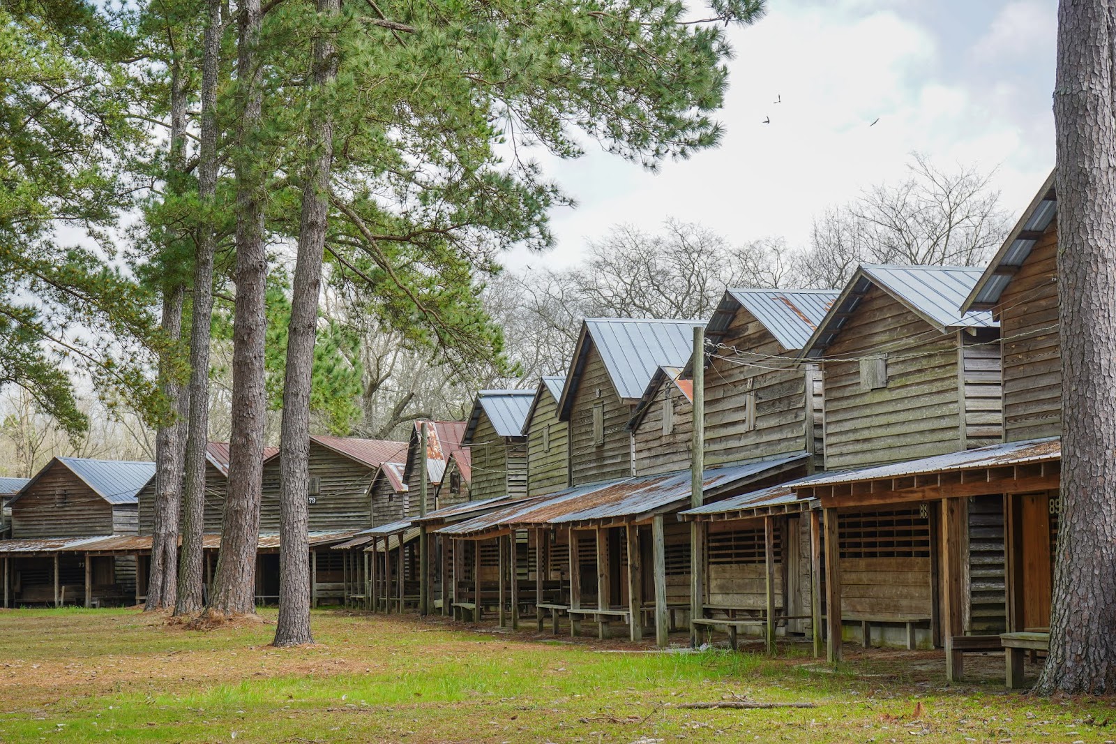 Charleston Daily Photo: Indian Fields Campground Charleston Daily Photo: Indian Fields Campground