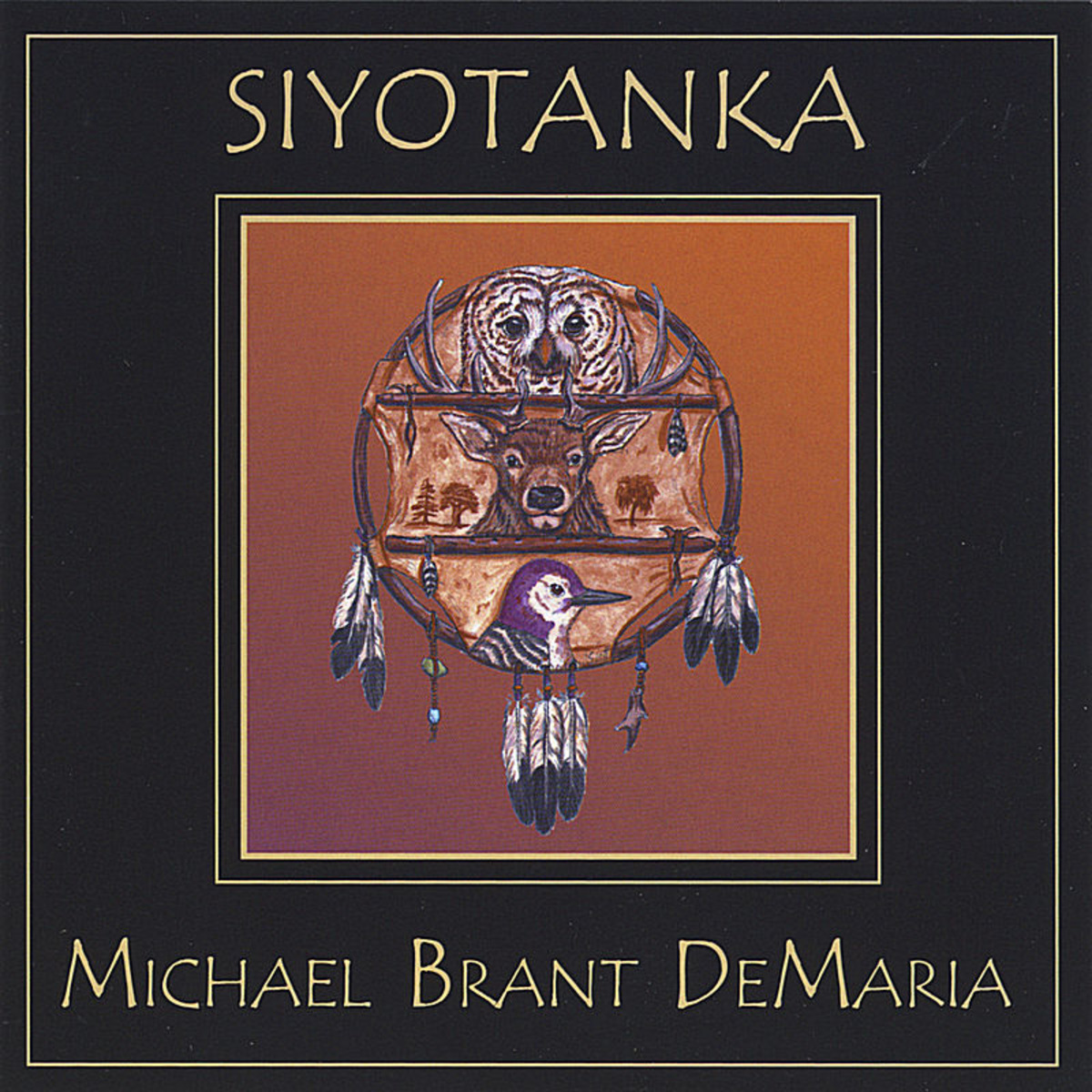 Cd Michael Brant DeMaria - Siyotanka Cover