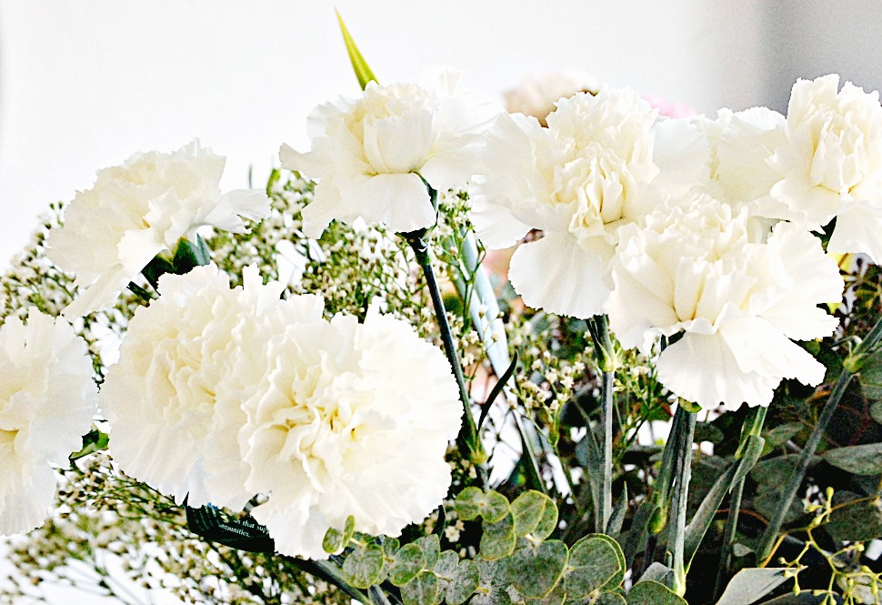 white carnations-baby's breath, decorating tips and shopping ideas