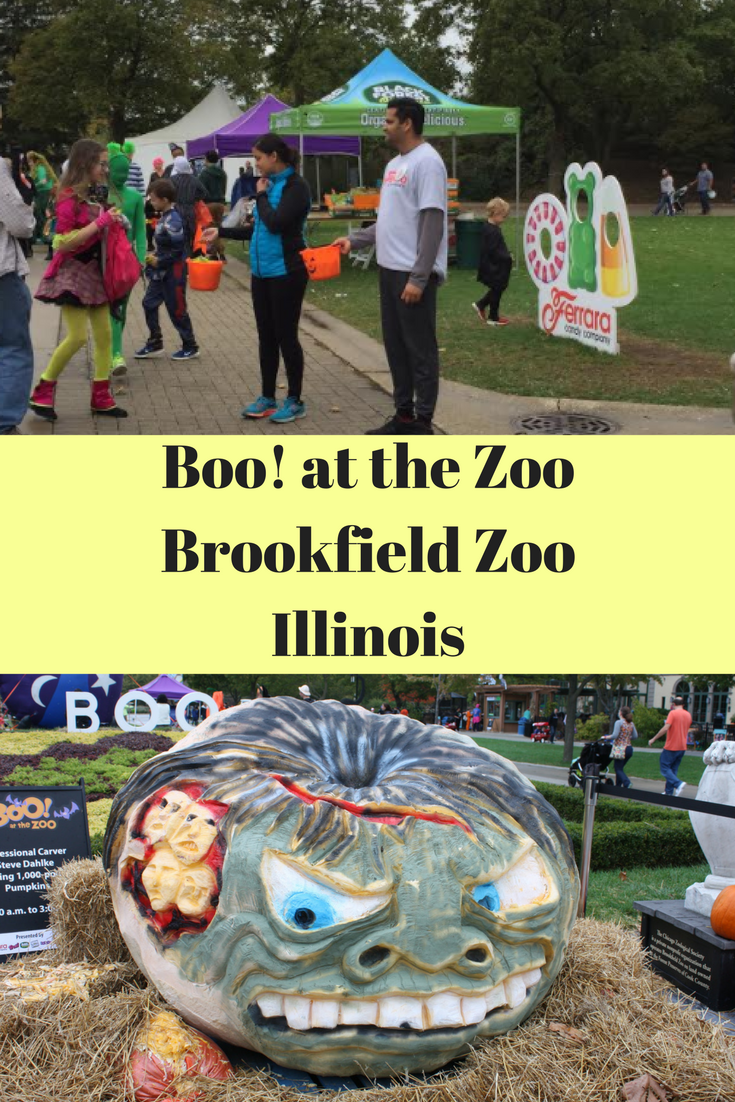 A Little Time and a Keyboard A Bootiful Time at Boo! At The Zoo at