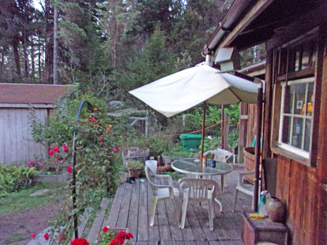Back Deck at the Cabin near Mendocino