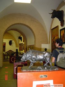 Plaza de Toros e Museu Taurino