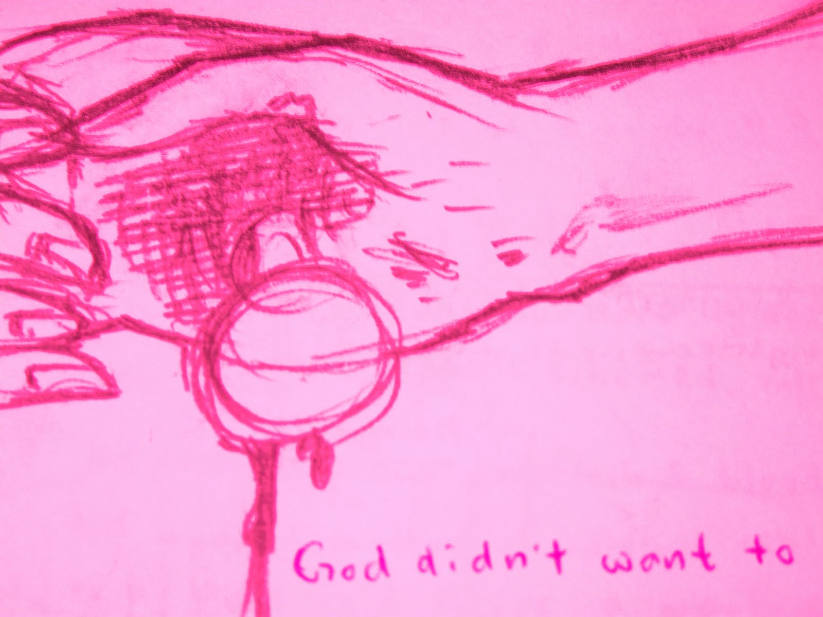 Sheep Of God Write A Sentence Based On The Picture And Words Given 