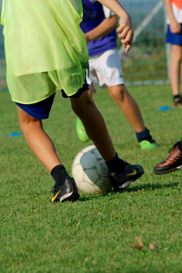 olympic exercise bike