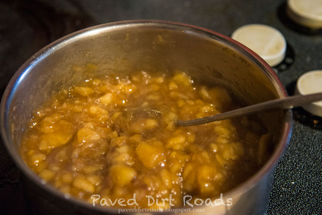 Fruit Fried Pies - Apple Filling