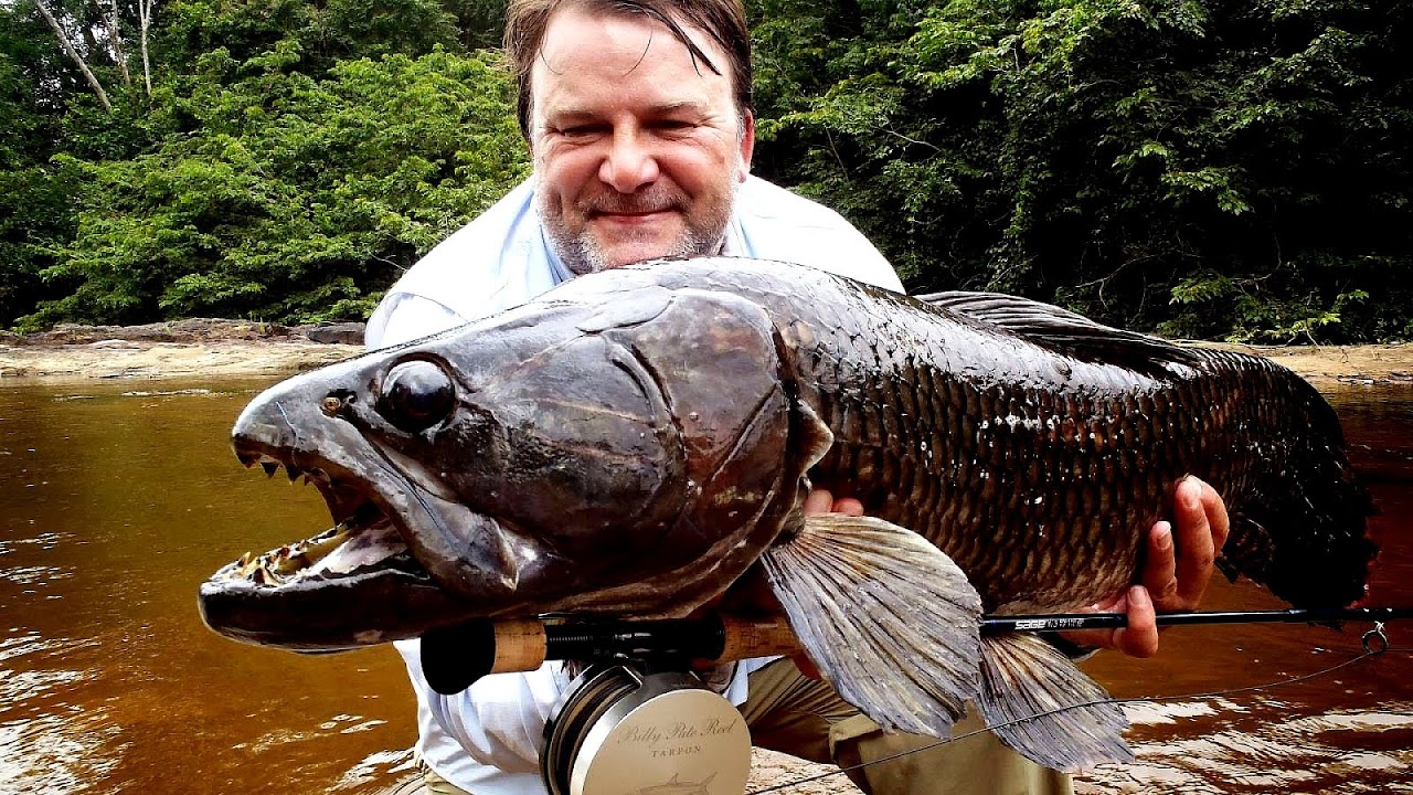 Biggest Fish In The Amazon Fish Choices