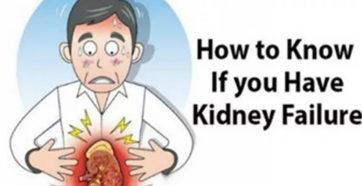 8 Kidney Failure Symptoms That You Should Know