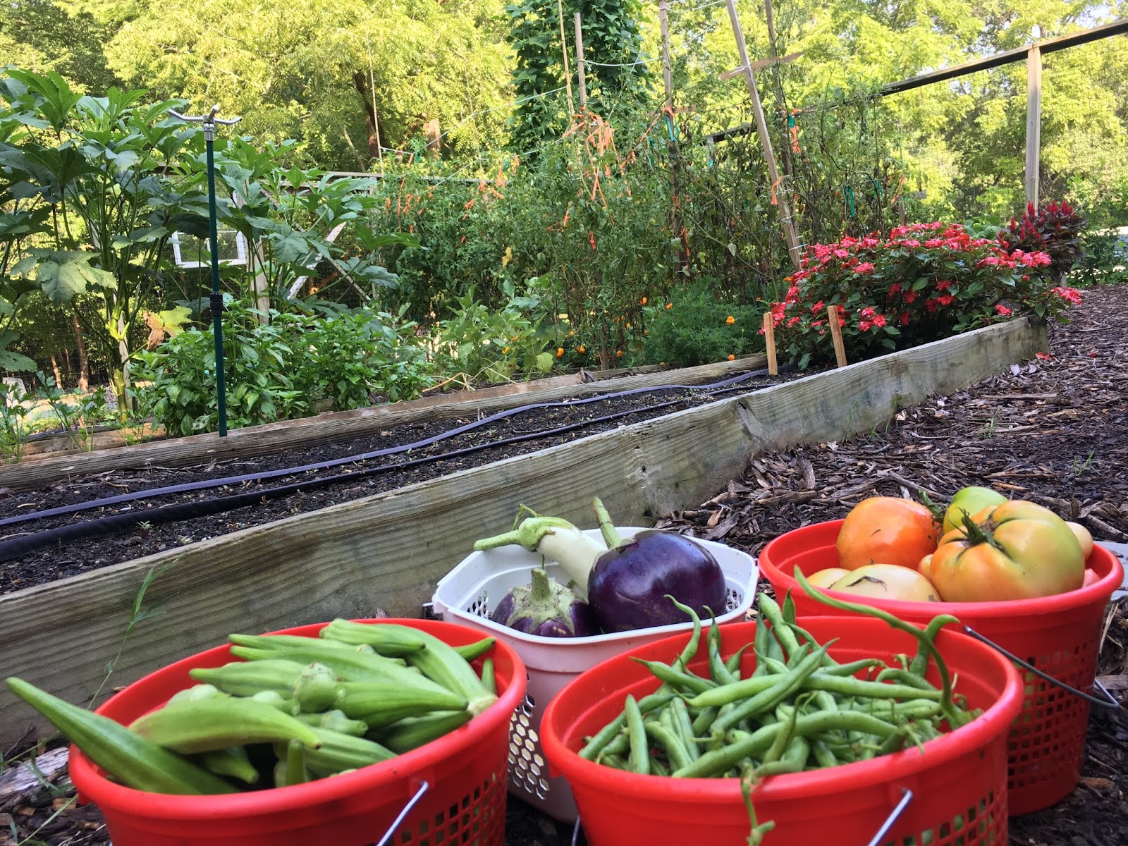 Gardening At West Point On The Eno