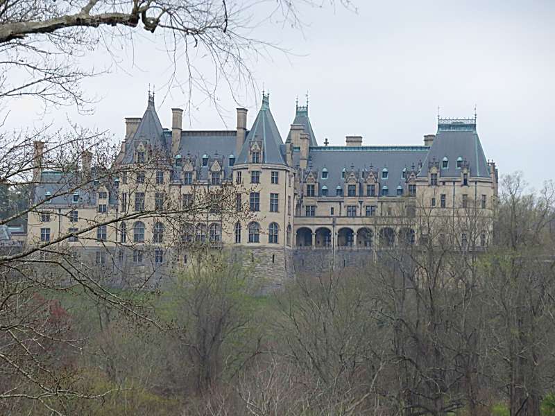 Full Bloom At The Kinney Azalea Garden Blogs The Patriot