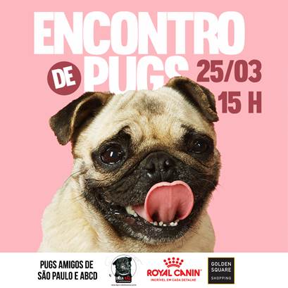 Golden Square Shopping realiza encontro de cães da raça pug Golden Square Shopping realiza encontro de cães da raça pug
