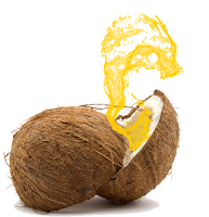 Cara Membuat Minyak Kelapa Sendiri di Rumah Cara Membuat Minyak Kelapa Sendiri di Rumah