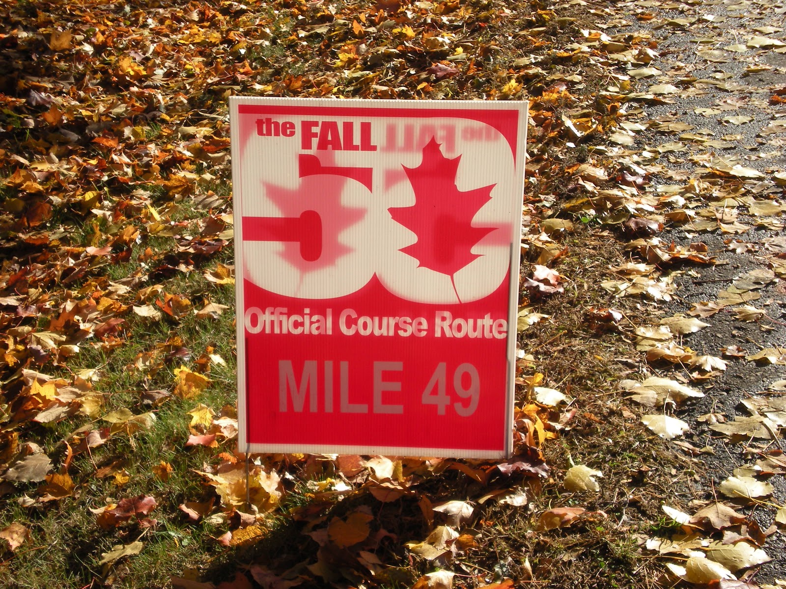 Fall 50, the good and the bad – Team Bird Training