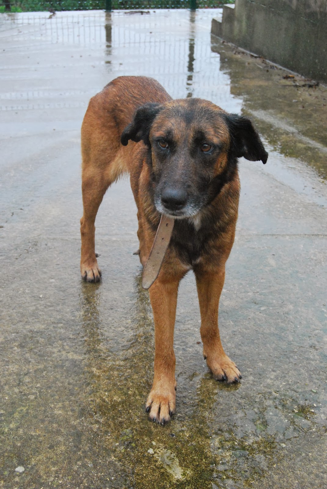 Das wahre Leben So´n büschen bekloppt ist ja ok. Was machst du