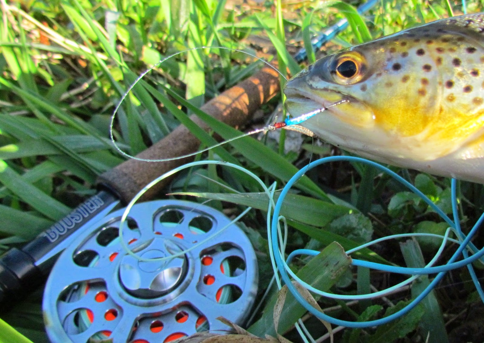 Jika Rig Underwater How To Get Set Up And Fish The Jika Rig To Catch ...