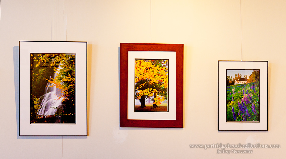 Getting it Right in the Digital Camera Matting & Framing