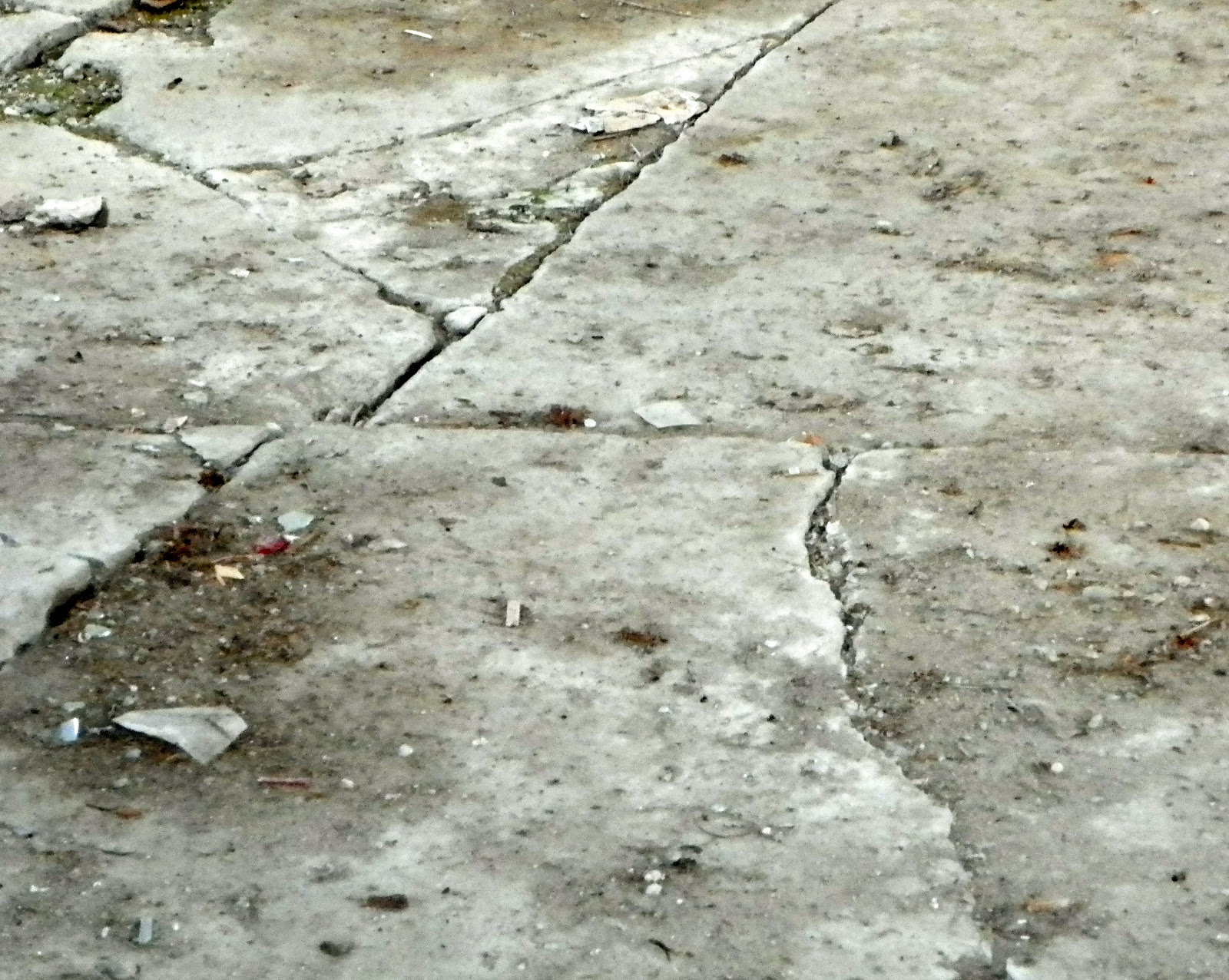 Only in The Republic of Amherst Polluted Library vote