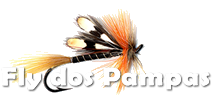 Fly Fishing dos Pampas