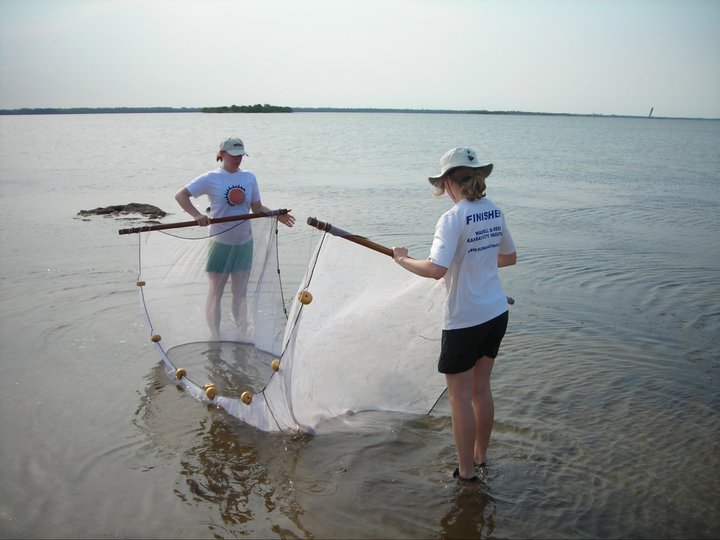 The Scorpion and the Frog How To Get Into An Animal Behavior Graduate
