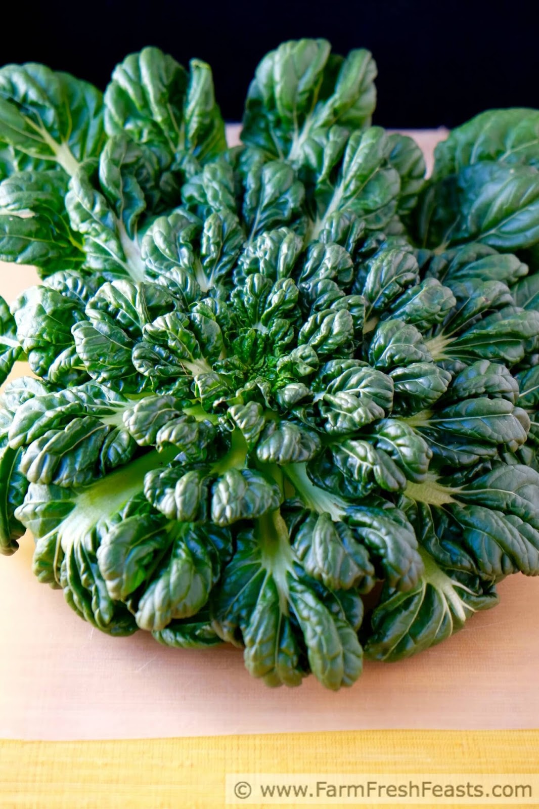 Farm Fresh Feasts Potato, Tatsoi, and Caramelized Onion Enchiladas