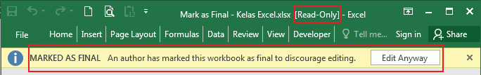 Mark as Final Excel File