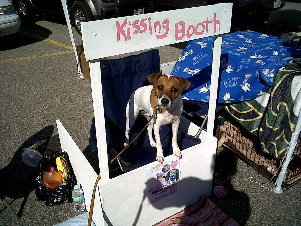 Emily's Animal Rescue Journey: Petco Adoptathon and Kissing Booth a