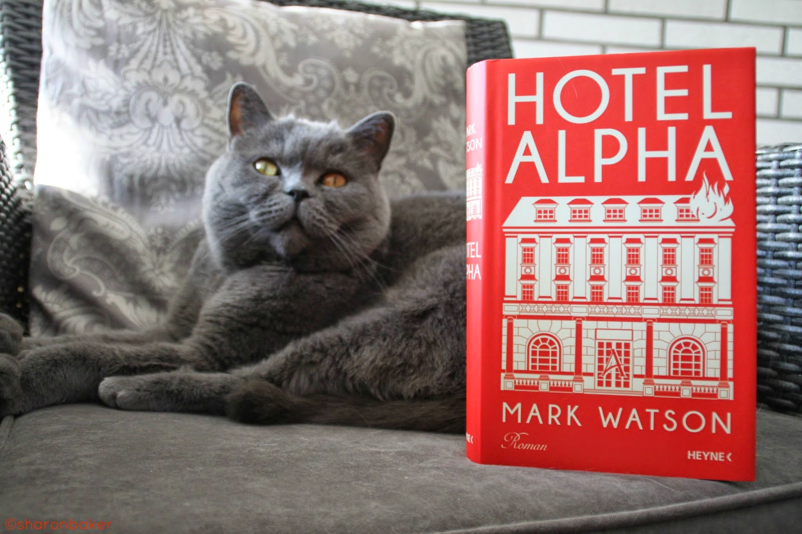 Sharon Baker Liest Mai 2015