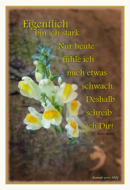 Cronenburg Workshops Und Kunst Fur Alle