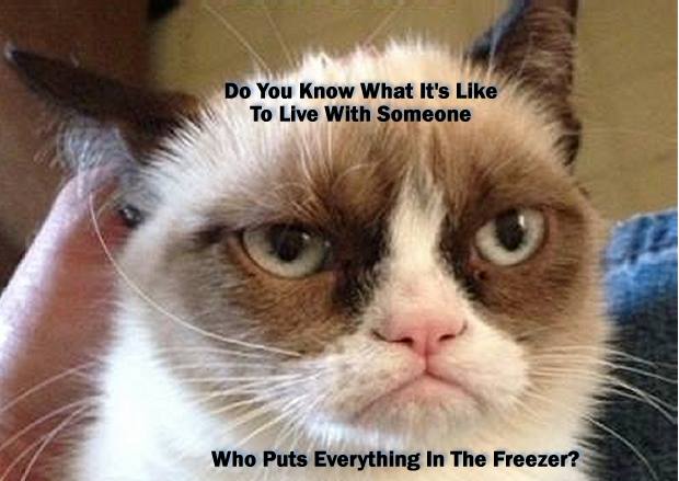 Entertainment,Thoughts, and Concerns of Gary Graefen: Grumpy Cat MeMe's ...