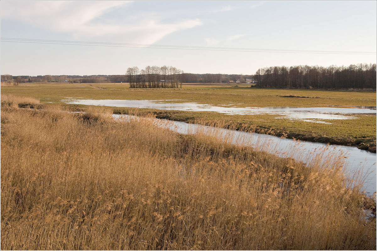 nature around me the river return to old riverbed